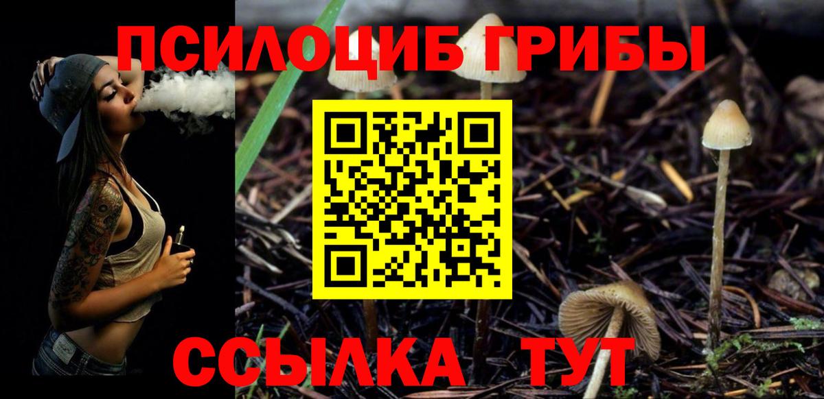 Псилоцибиновые грибы Psilocybine cubensis Заринск